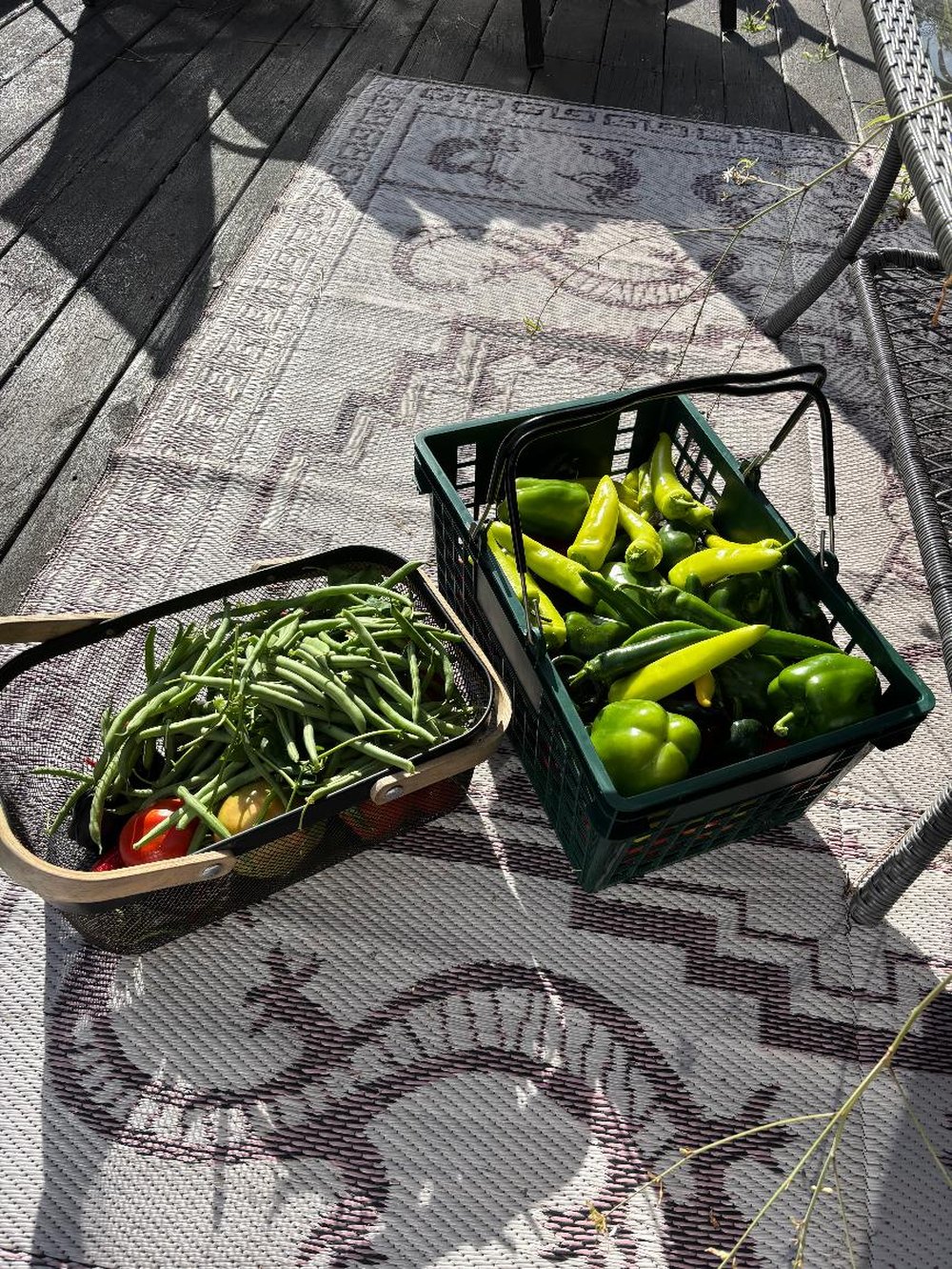 Two harvest baskets on an outdoor rug: one full of green beans and cherry tomatoes, one full of green and yellow peppers