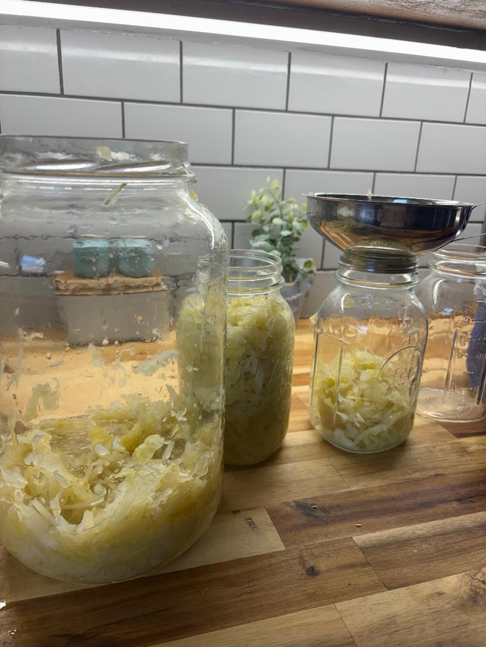 Jars of sauerkraut with visible liquid brine
