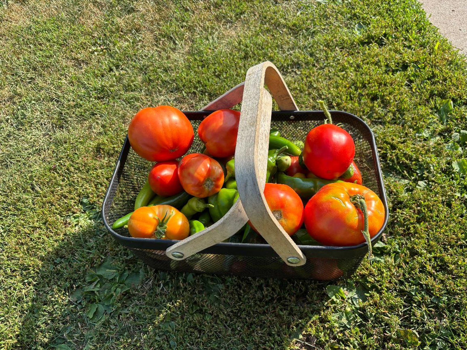 The Less Dramatic Harvest blog post