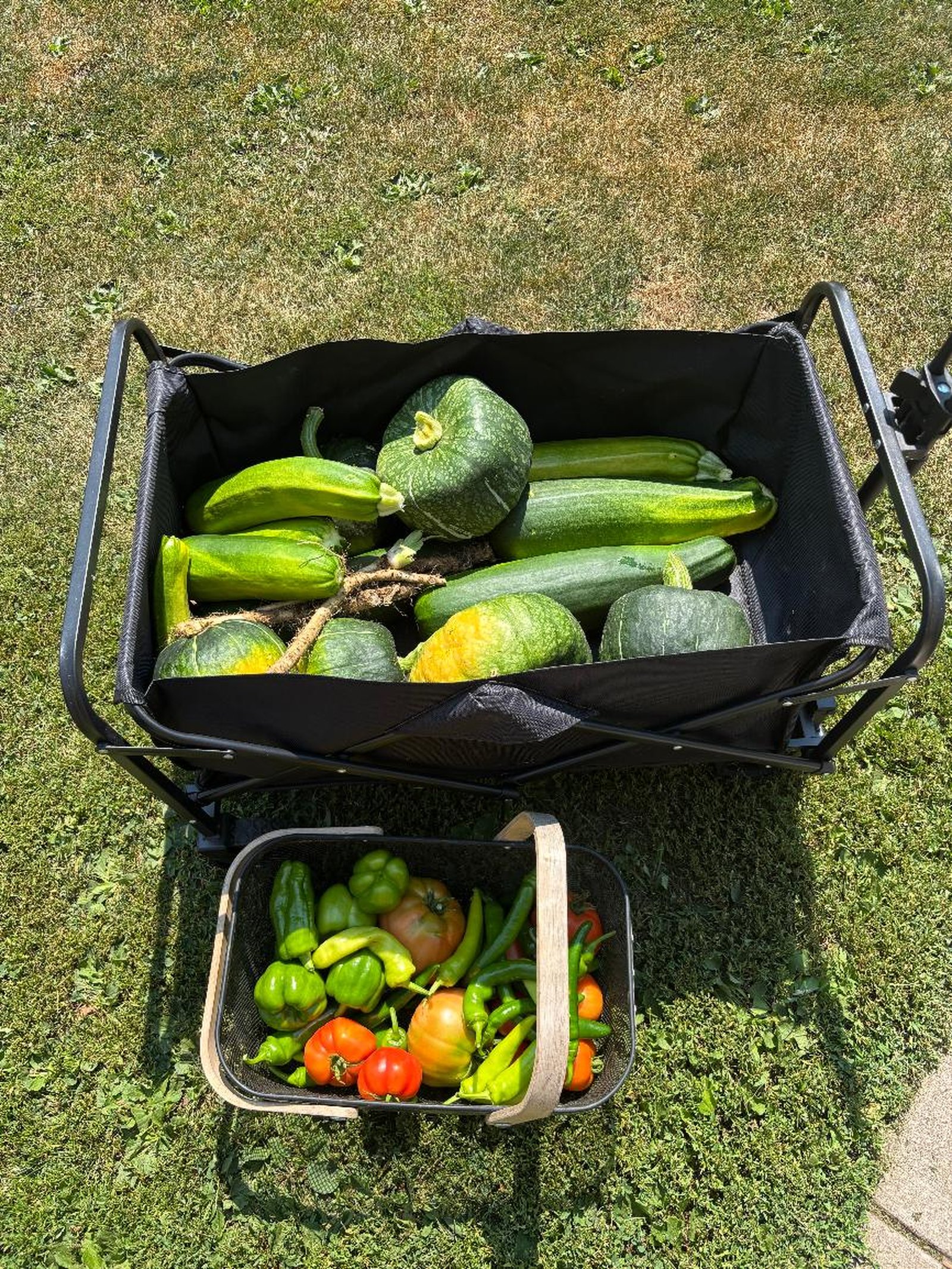 A wagon full of zucchini and acorn squash, with a basket of peppers and tomatoes