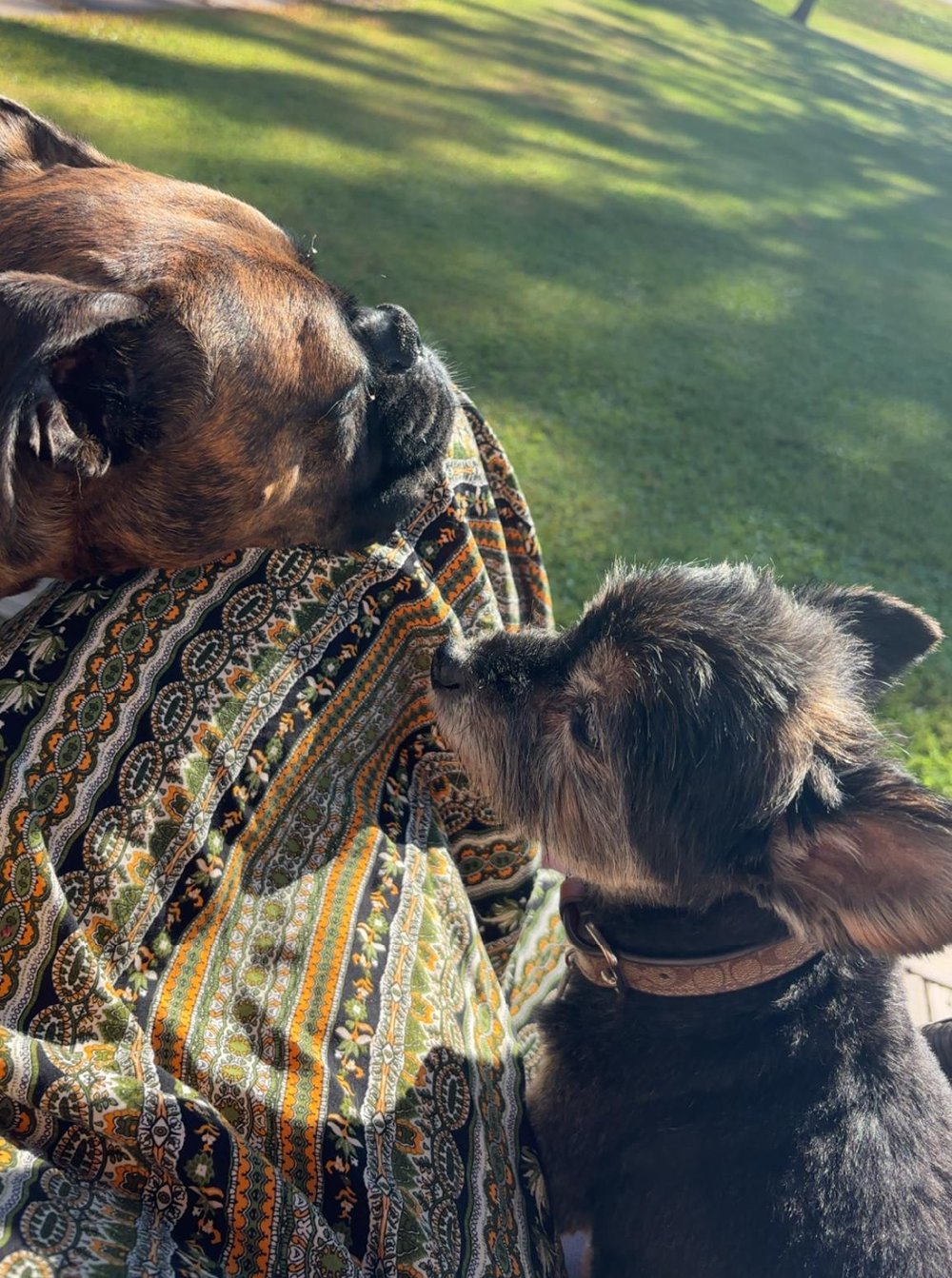 This Is What Sunday Morning Looks Like at Granny's blog post