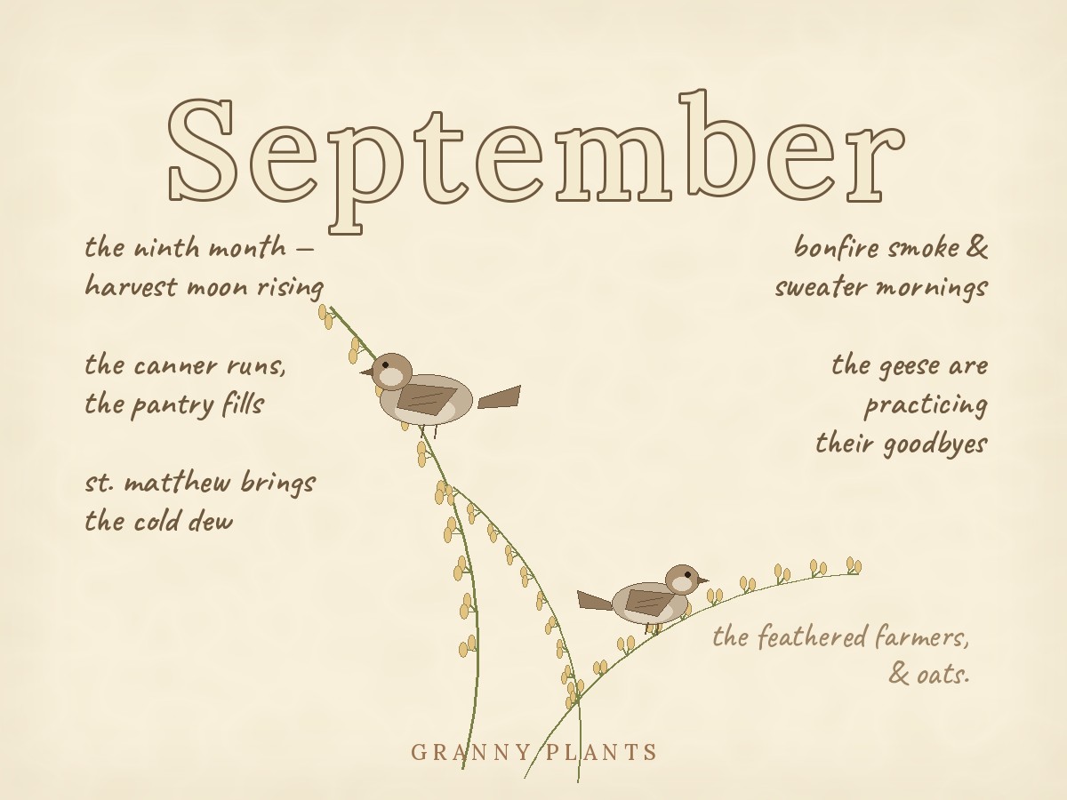 Welcome, September blog post